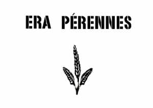 era perennes noir